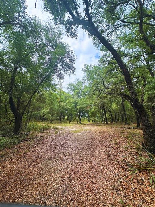 Active With Contract: $85,000 (2.11 acres)