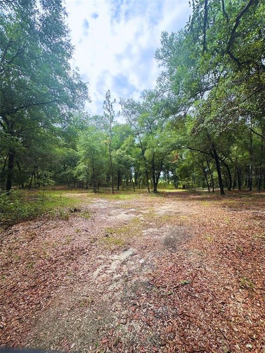 Active With Contract: $85,000 (2.11 acres)