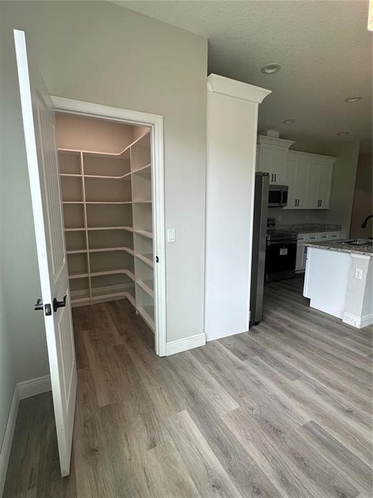 Walk-in Pantry