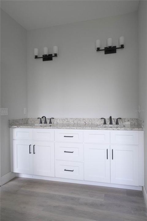 Master bath sink