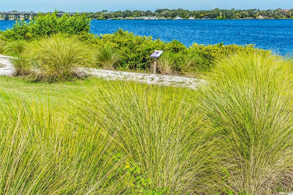 Nature trail