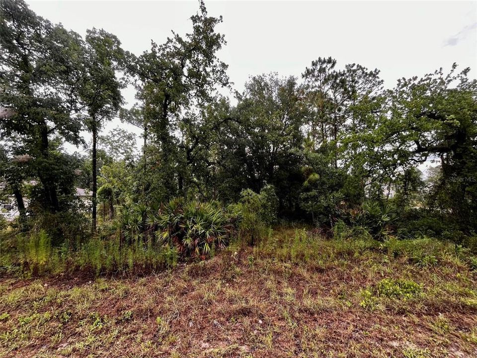 En Venta: $45,000 (0.48 acres)