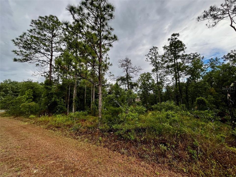 En Venta: $45,000 (0.48 acres)