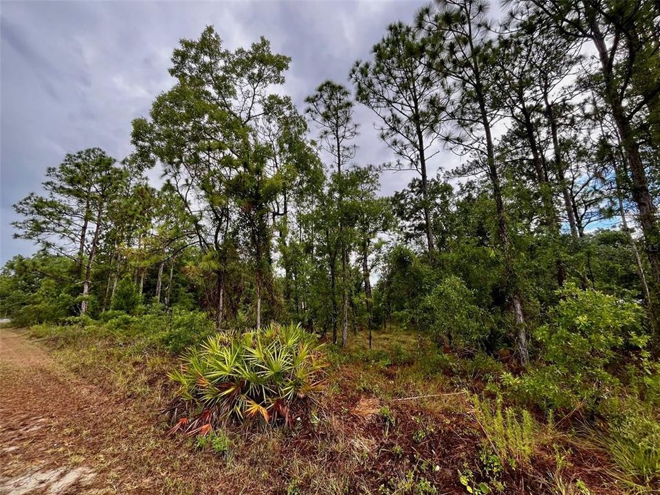 En Venta: $45,000 (0.48 acres)