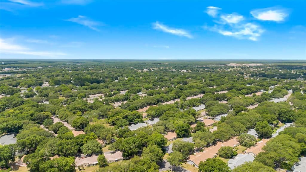 AERIAL OF NEIGHBORHOOD