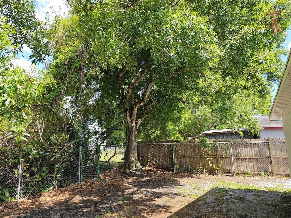 For Sale: $350,000 (3 beds, 1 baths, 1036 Square Feet)