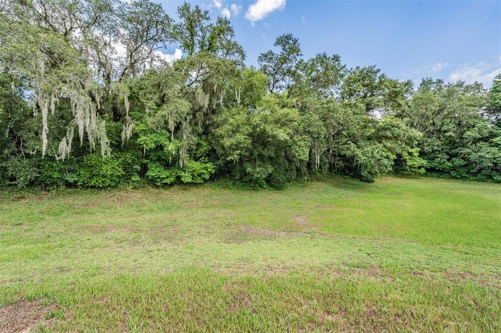 natural greenscape behind home!