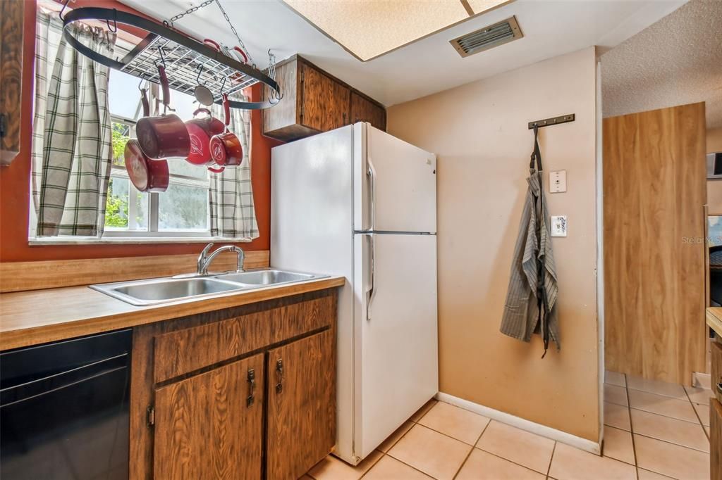 plant window above the sink