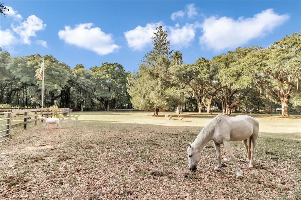 En Venta: $550,000 (3 camas, 2 baños, 1978 Pies cuadrados)