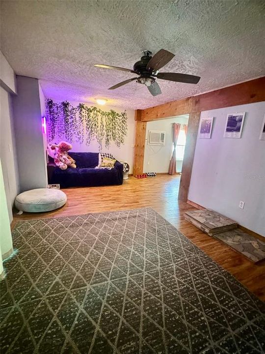 lower apartment livingroom