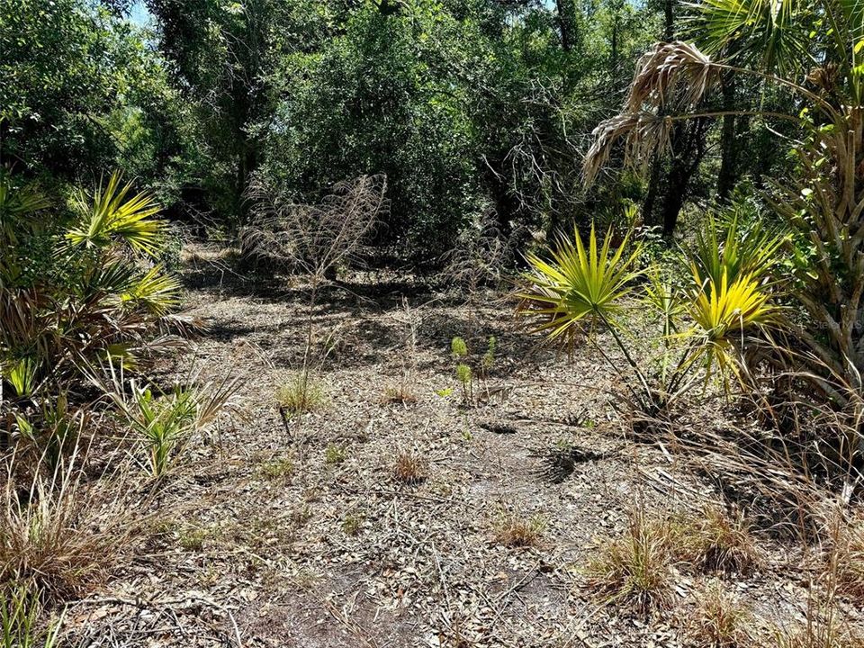 Active With Contract: $50,000 (0.87 acres)