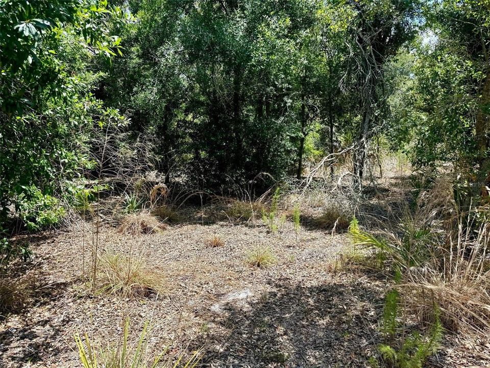 Active With Contract: $50,000 (0.87 acres)