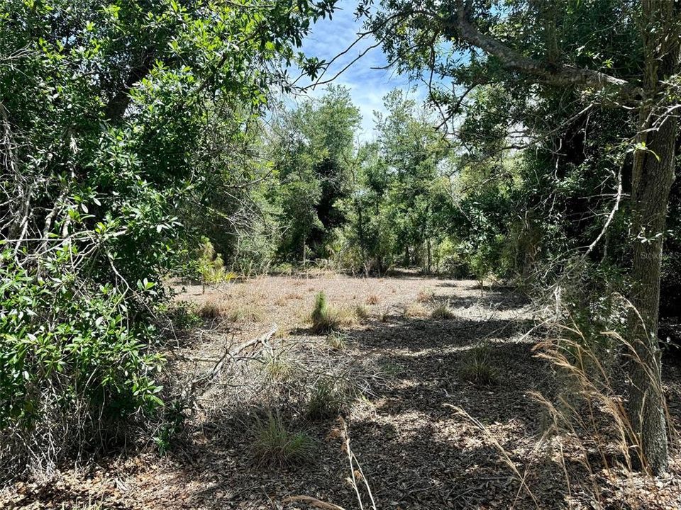 Active With Contract: $50,000 (0.87 acres)