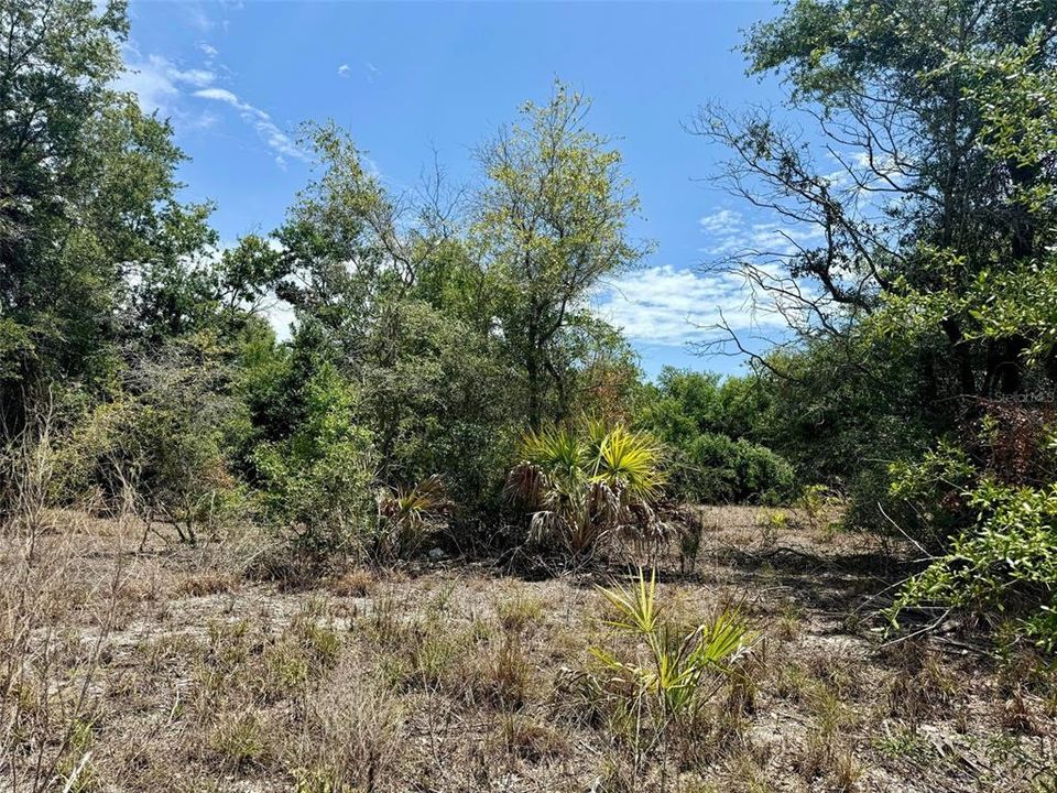 Activo con contrato: $50,000 (0.87 acres)