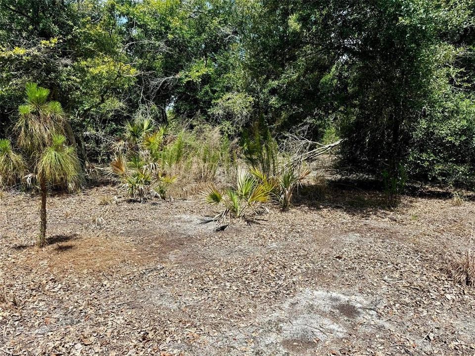 Activo con contrato: $50,000 (0.87 acres)