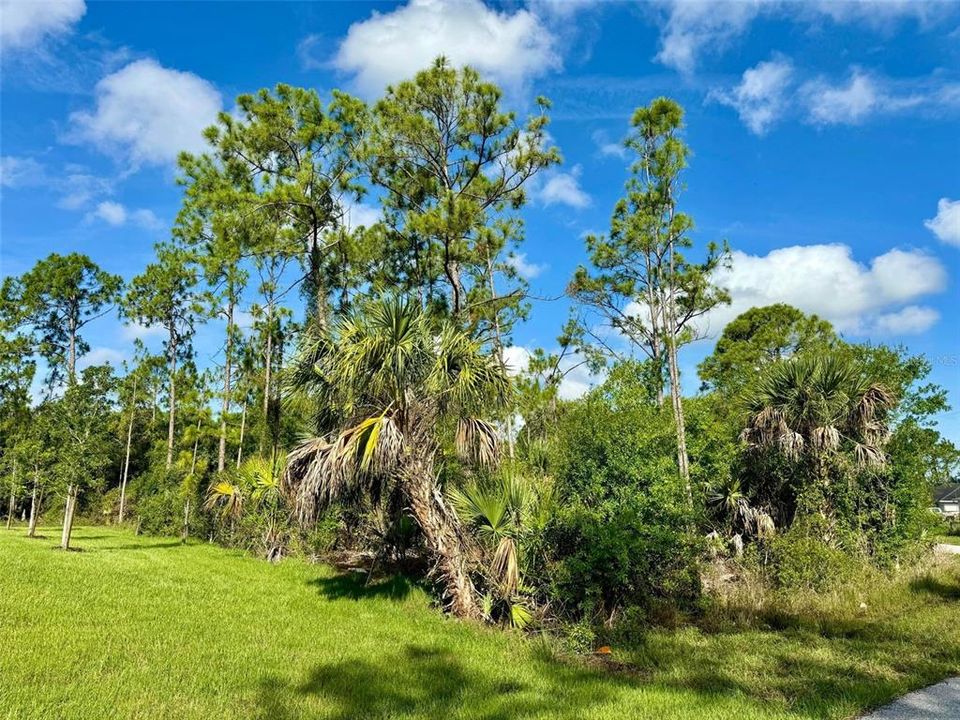 На продажу: $20,000 (0.29 acres)