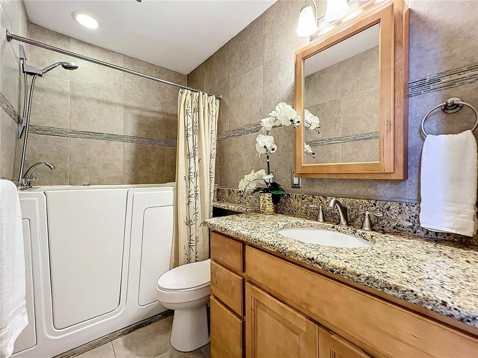 Full downstairs Bath with Walk-in Tub