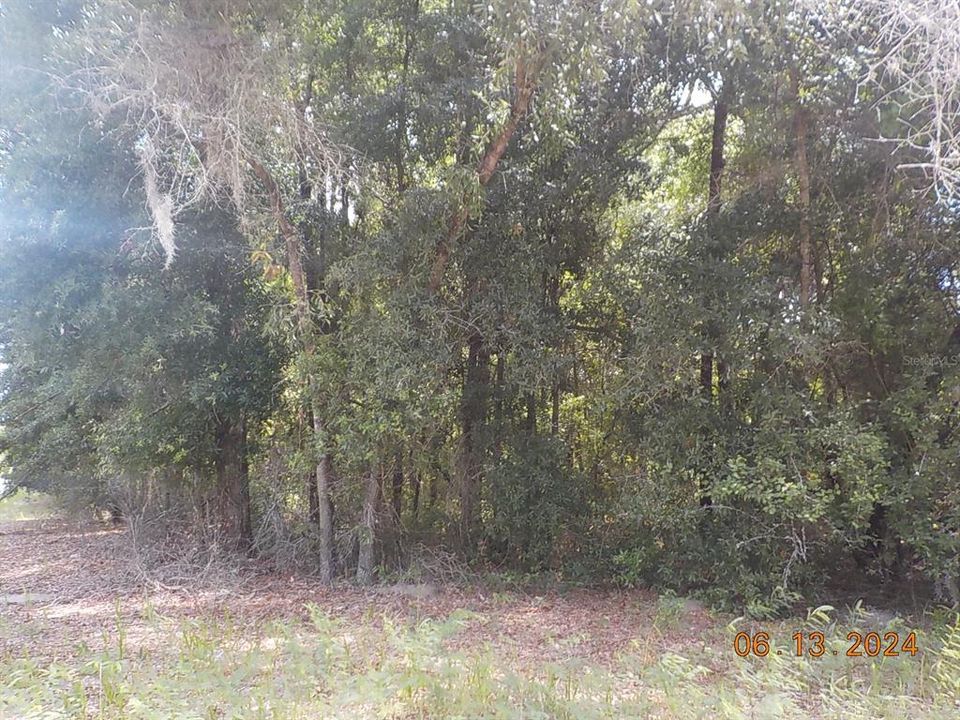 Active With Contract: $29,500 (1.25 acres)