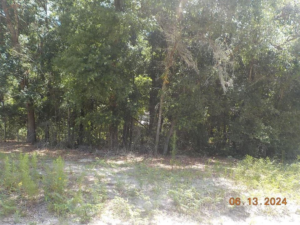 Active With Contract: $29,500 (1.25 acres)