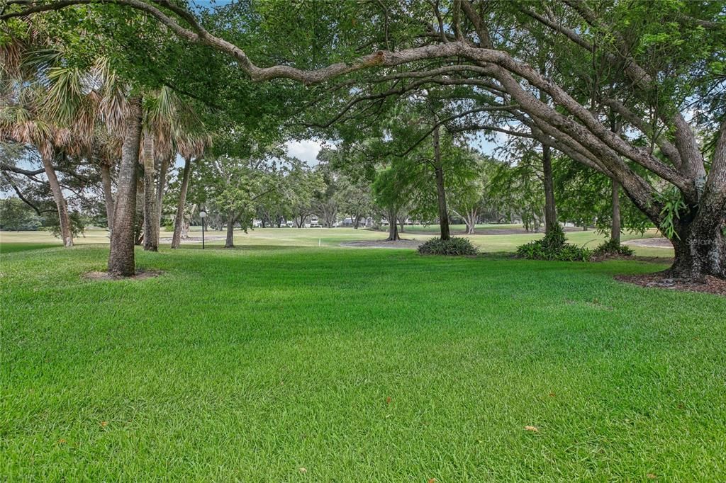 PEACEFUL BACK YARD VIEW