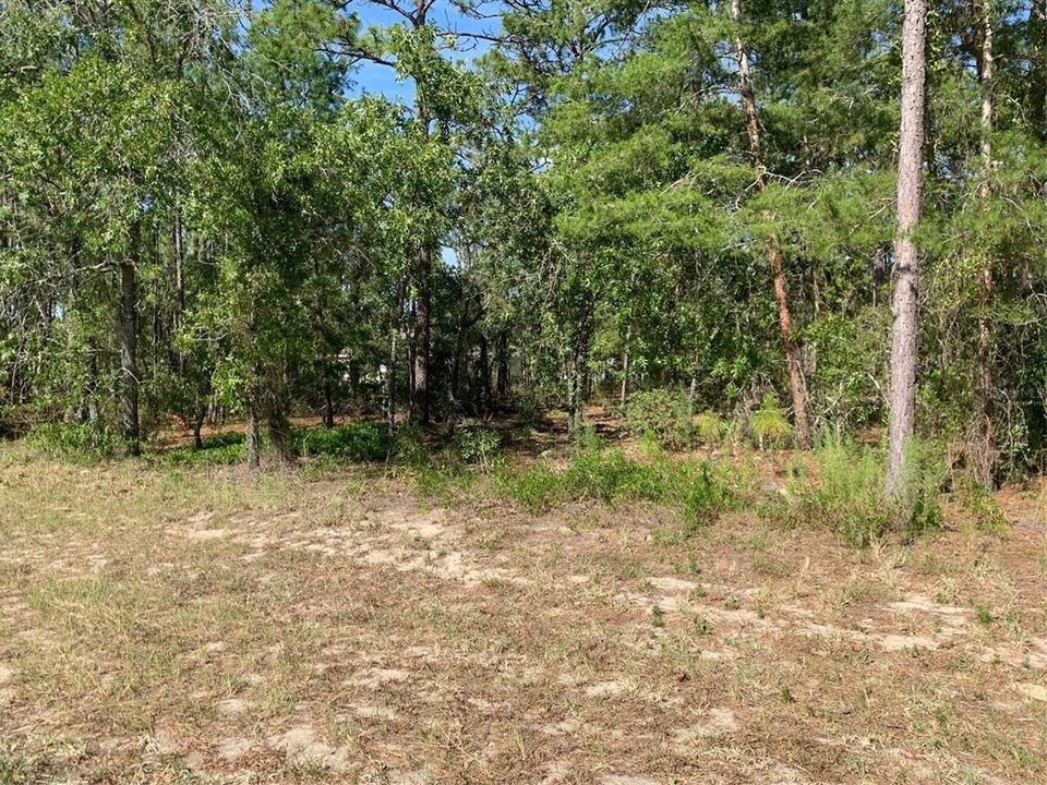 Recently Sold: $46,000 (0.24 acres)