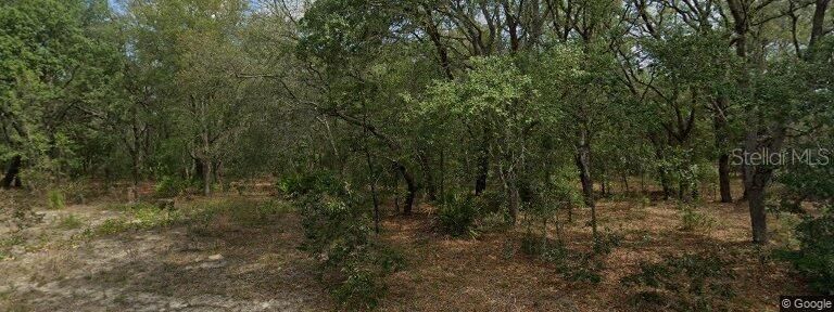 En Venta: $38,900 (0.33 acres)