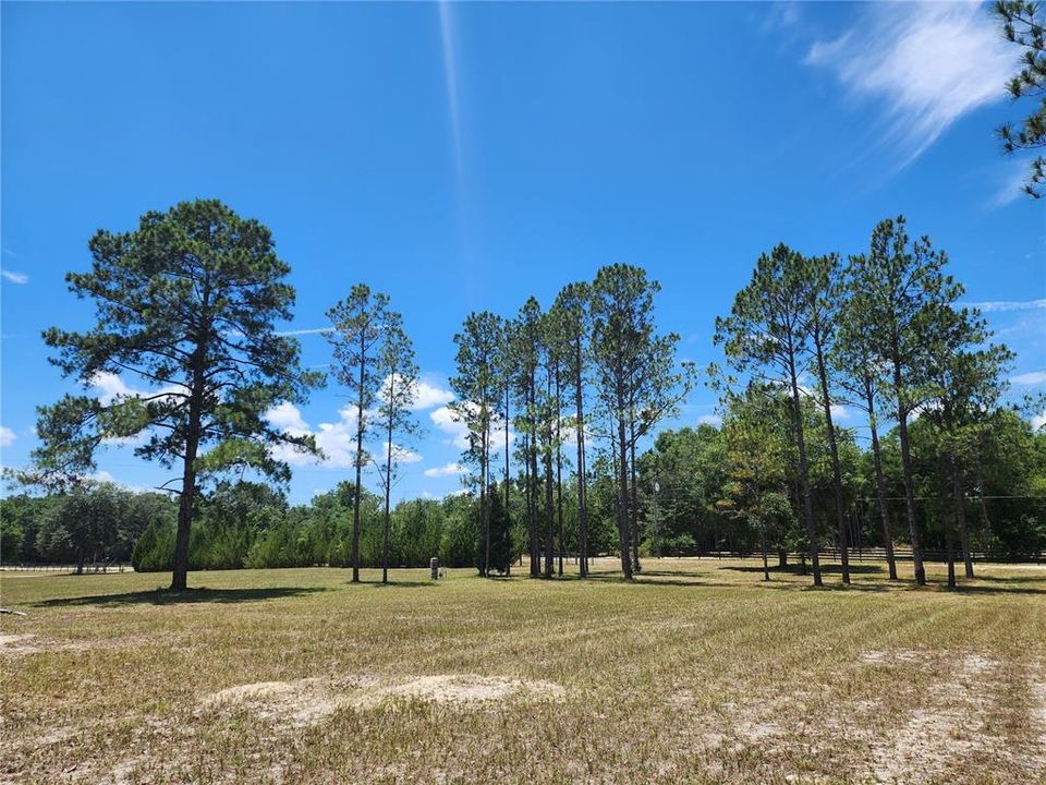 На продажу: $199,000 (10.00 acres)