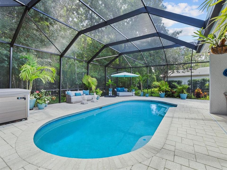 Extended 1400sf pool area