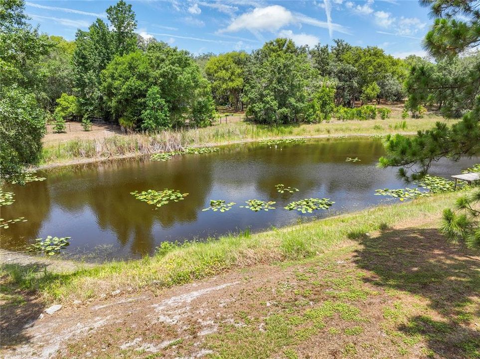 Natural pond located behind the home