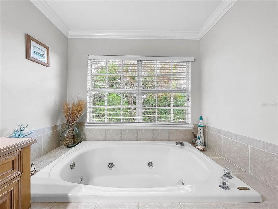 Primary bathroom jacuzzi tub