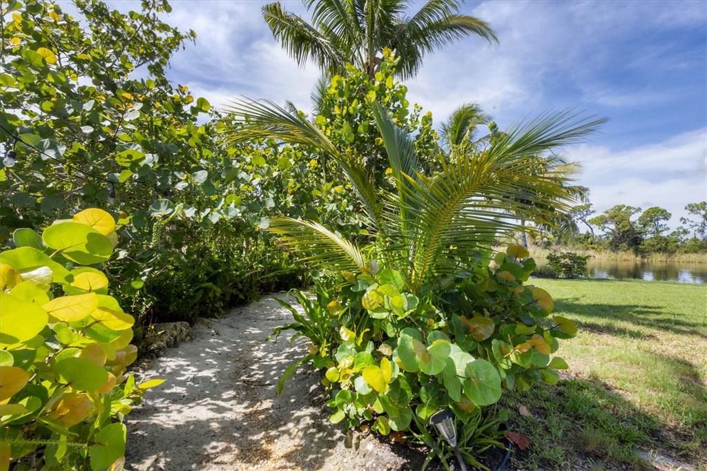 Picturesque landscaping featuring mature fruit trees and various hibiscus varieties