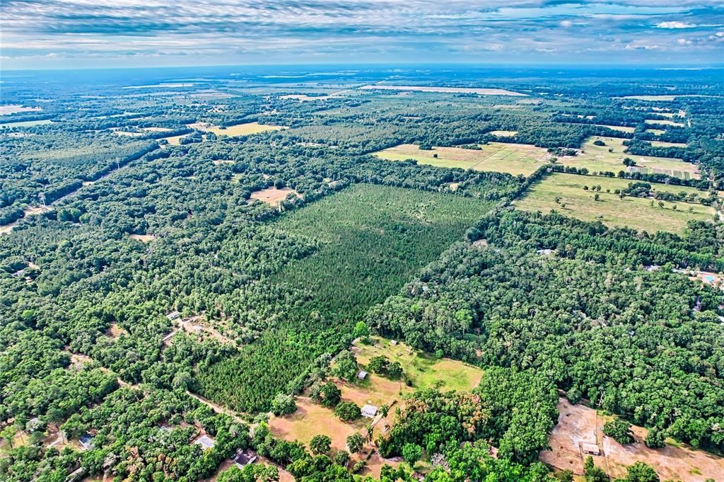 For Sale: $999,000 (61.77 acres)