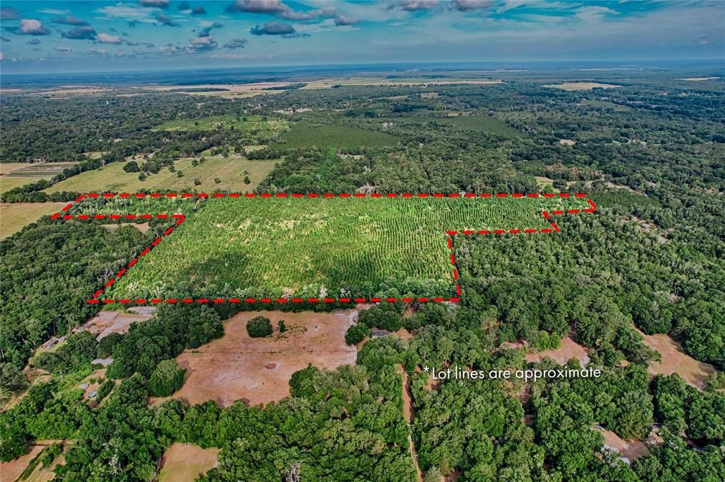 На продажу: $999,000 (61.77 acres)