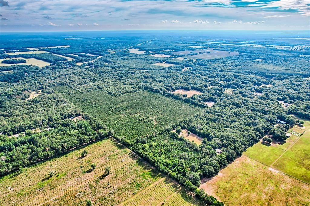 For Sale: $999,000 (61.77 acres)