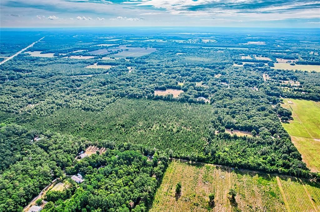 For Sale: $999,000 (61.77 acres)