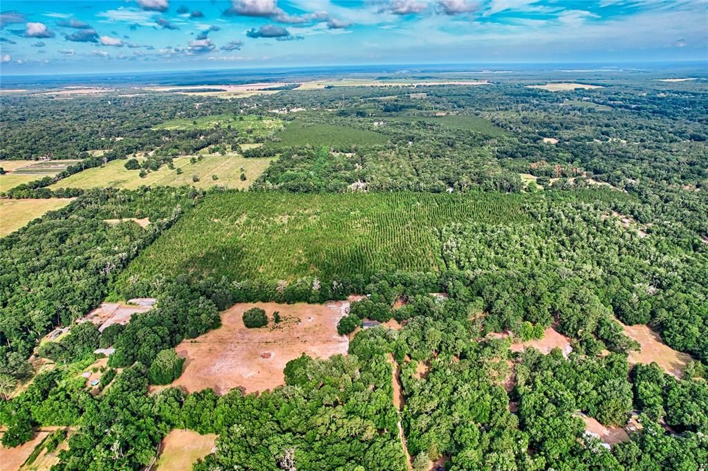 For Sale: $999,000 (61.77 acres)