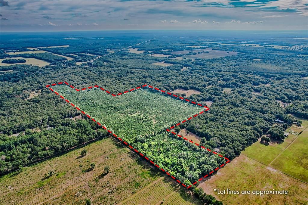 En Venta: $999,000 (61.77 acres)