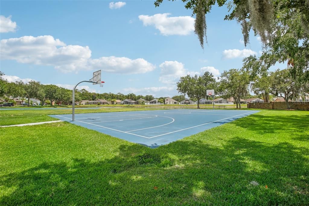 Basketball / Pickleball Court