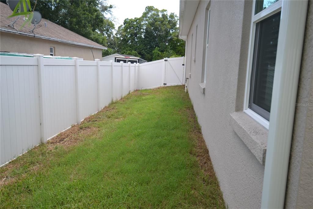 Back Yard fully fenced