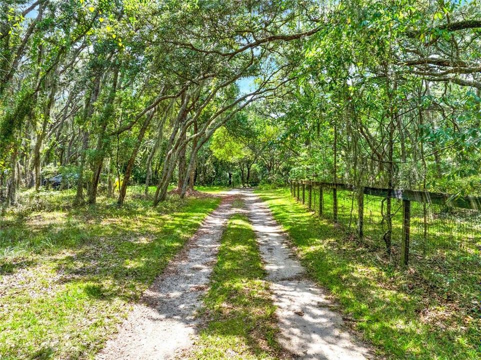 Driveway canopy