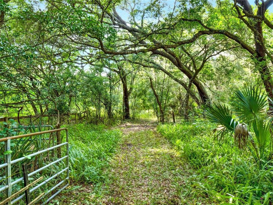 Walkway to the barns