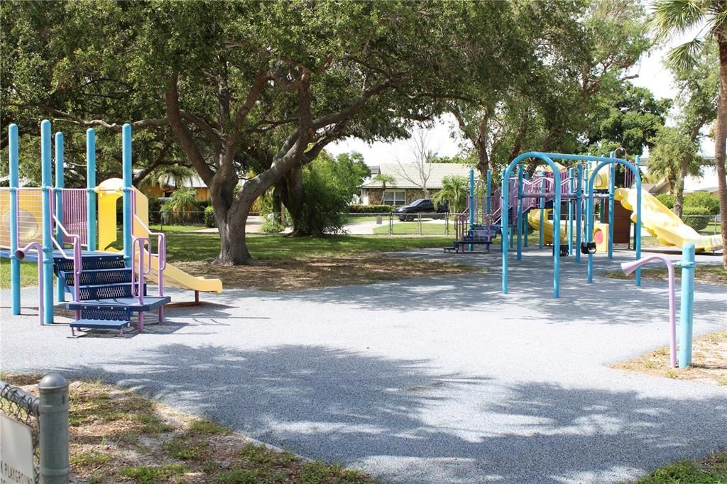 Neighborhood Park Kid's Slide