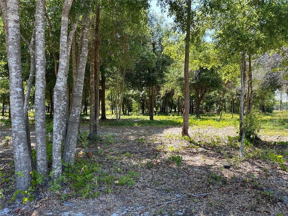 En Venta: $180,000 (1.00 acres)