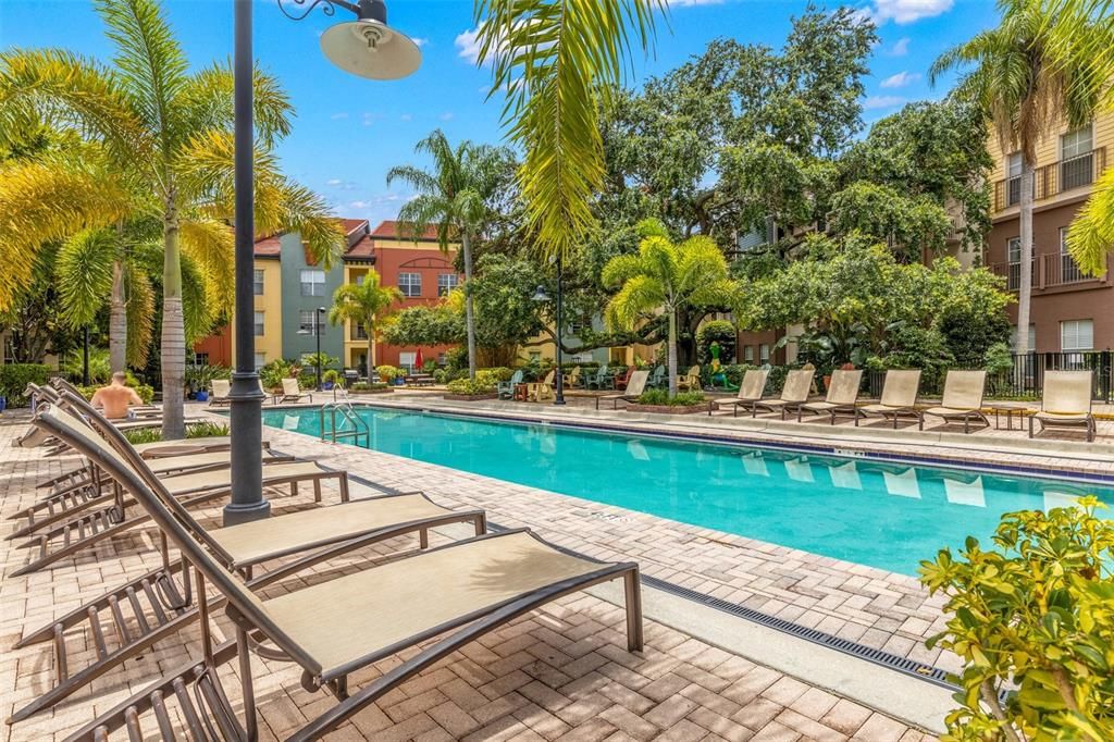 Pool and lounge area