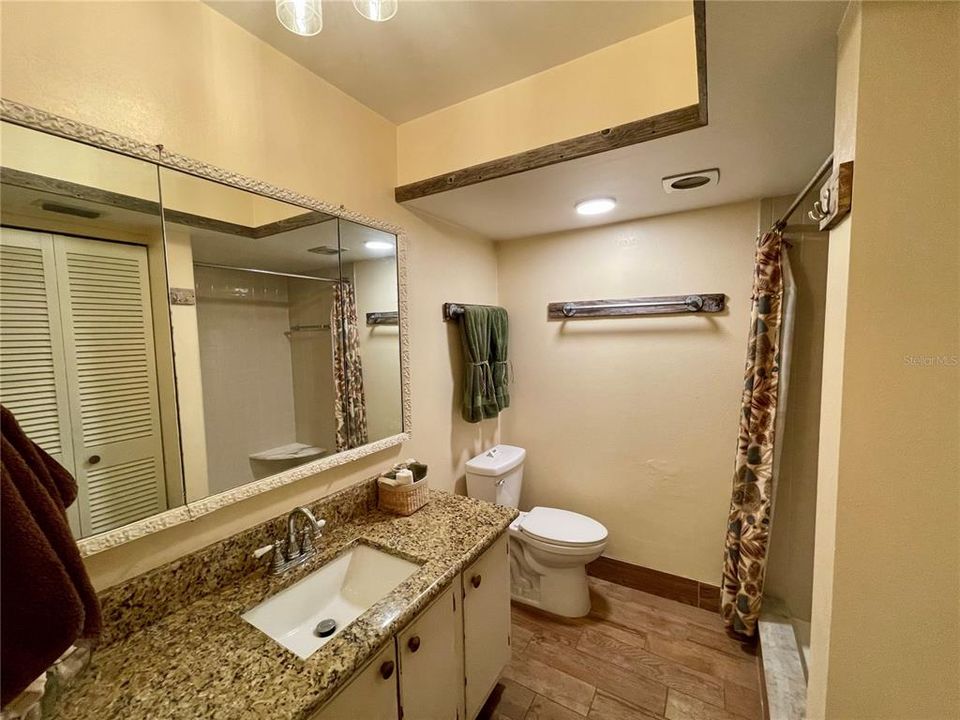 Hall Bathroom