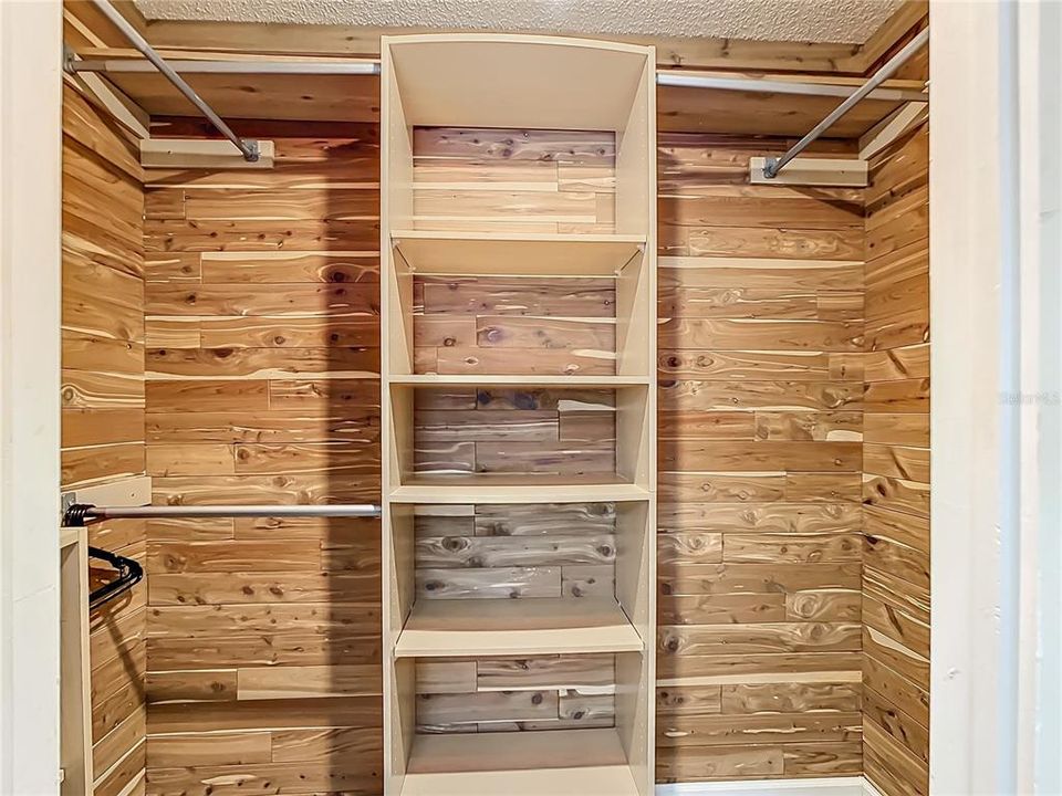 Master walk-in closet