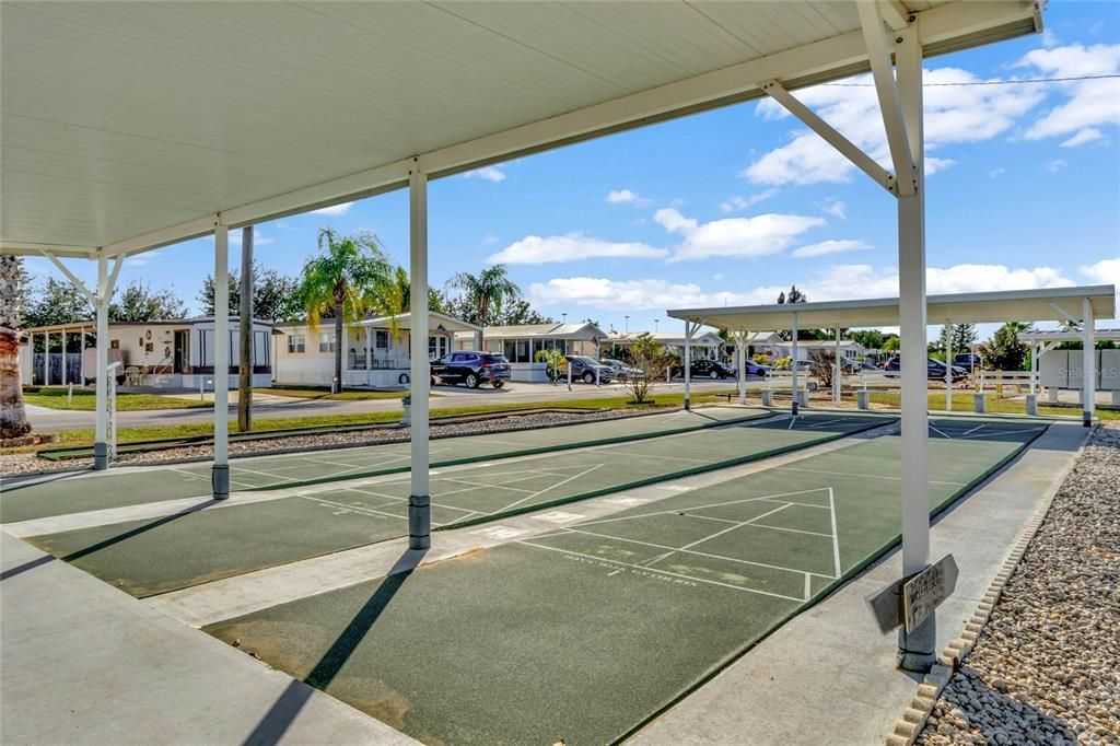 Community Shuffleboard