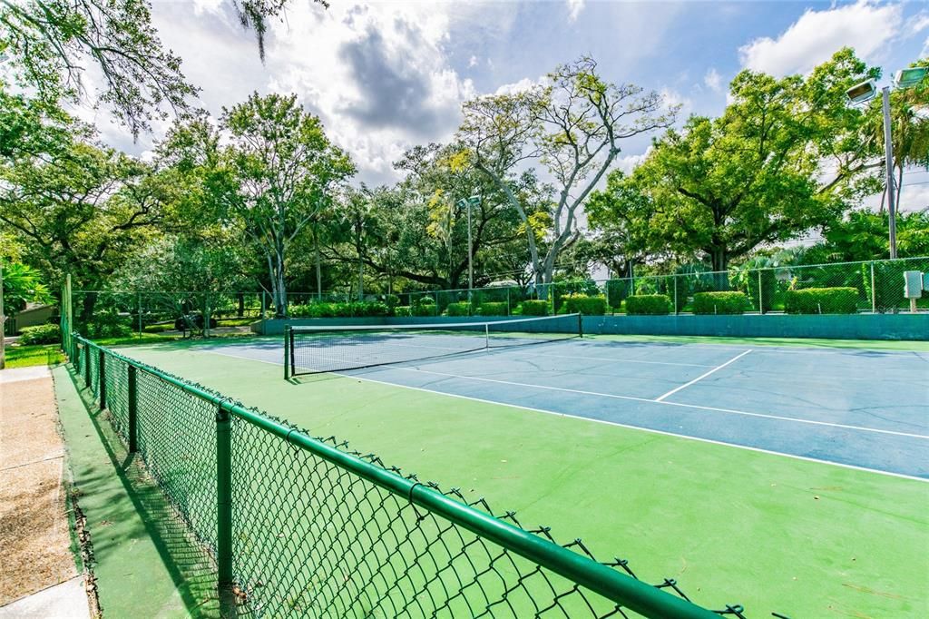 Pickleball Courts!