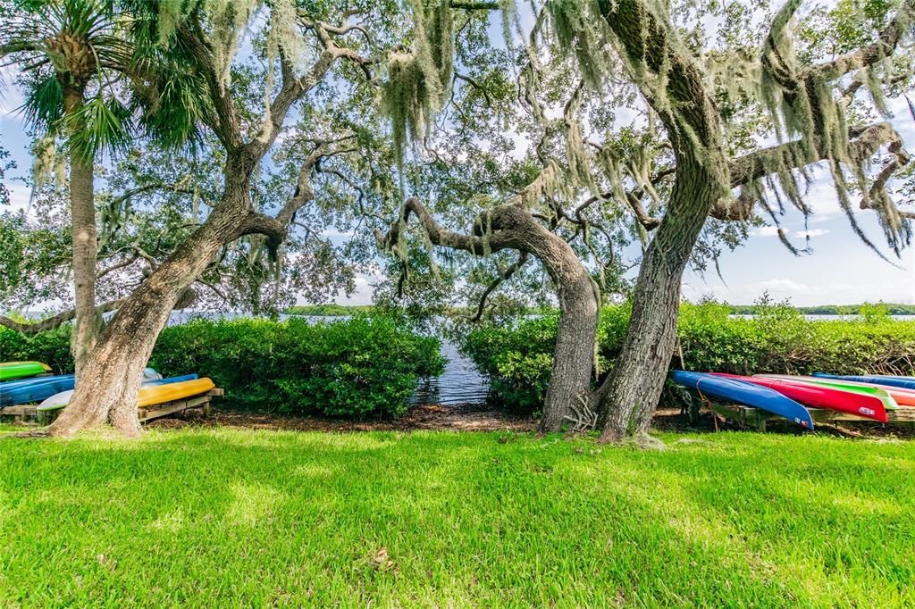 Direct Kayak Access to Bay!