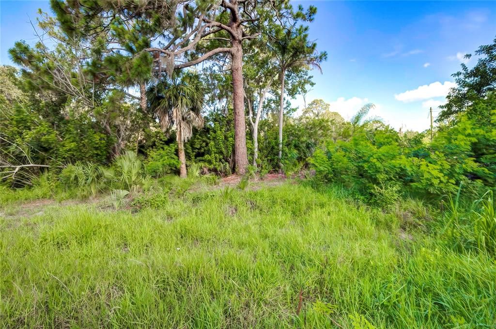 For Sale: $24,900 (0.12 acres)